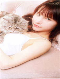 2012在线完整版高清在线观看