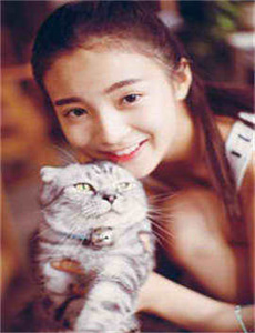 金刚2005电影