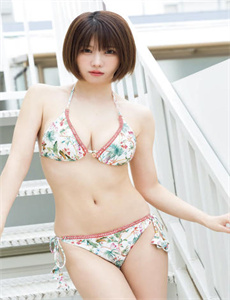 科搜研之女第11季